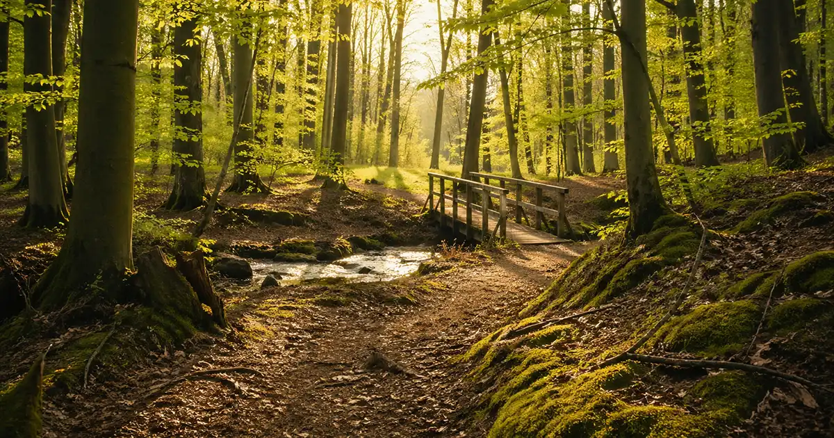Familientag im Wald – Berlin & Brandenburg